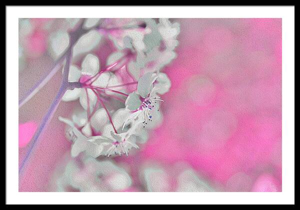 Pretty Pink Backdrop of Flowers - Framed Print