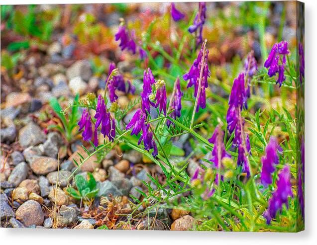 Purple Flowers Landscape Painting - Canvas Print