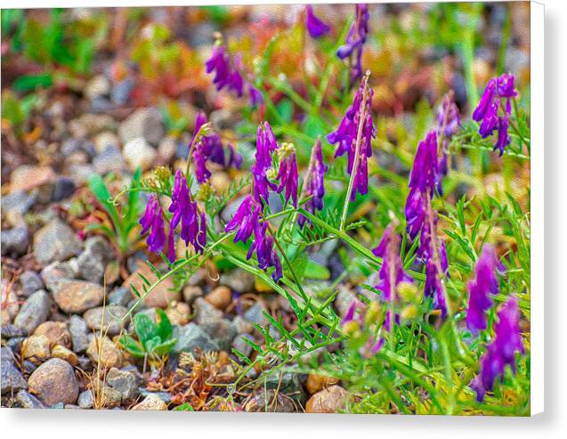 Purple Flowers Landscape Painting - Canvas Print