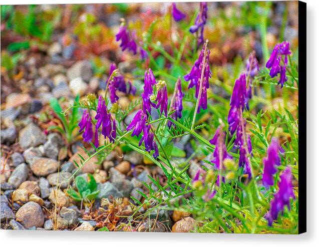 Purple Flowers Landscape Painting - Canvas Print