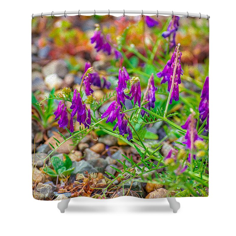 Purple Flowers Landscape Painting - Shower Curtain