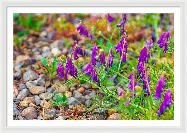 Purple Flowers Landscape Painting - Framed Print