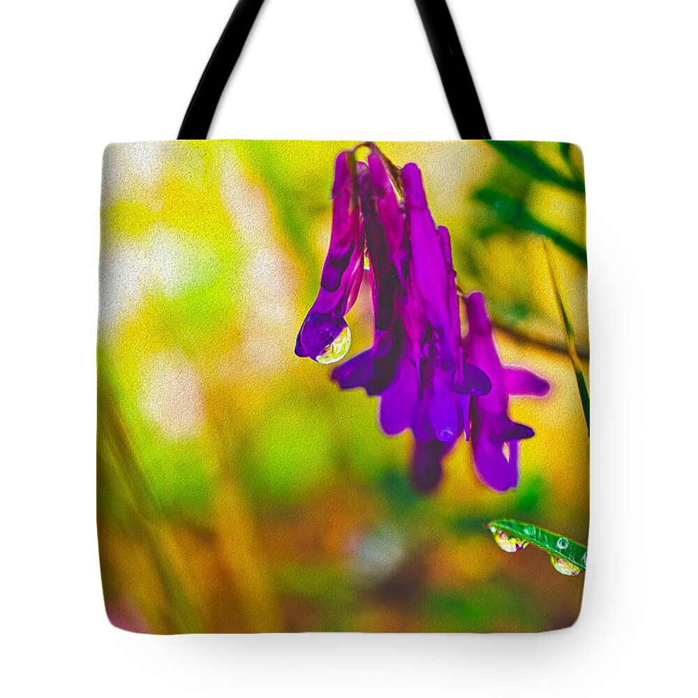 Purple Flowers with a Water Drop - Tote Bag