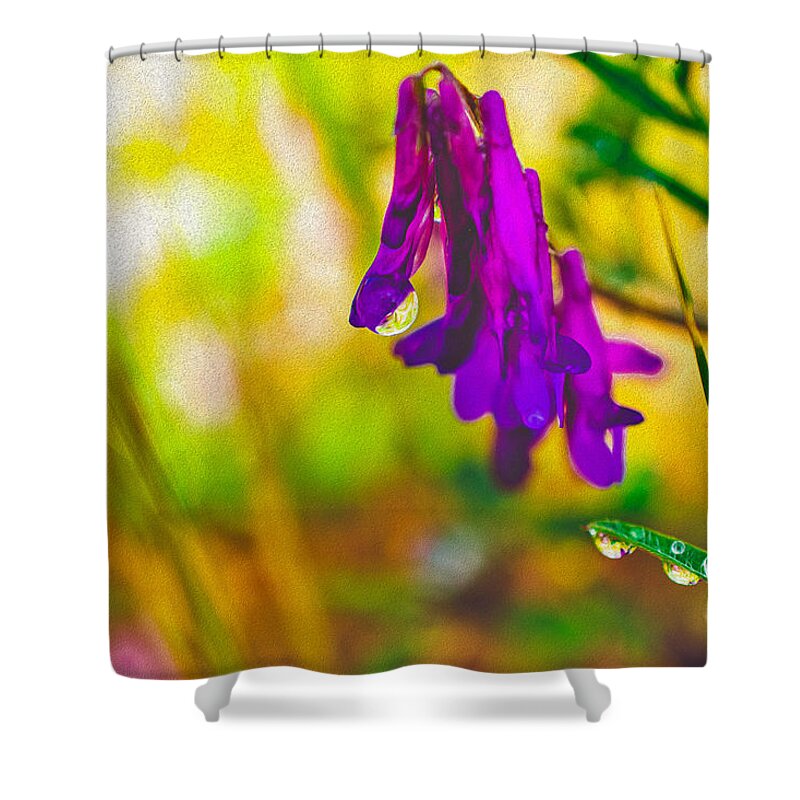 Purple Flowers with a Water Drop - Shower Curtain