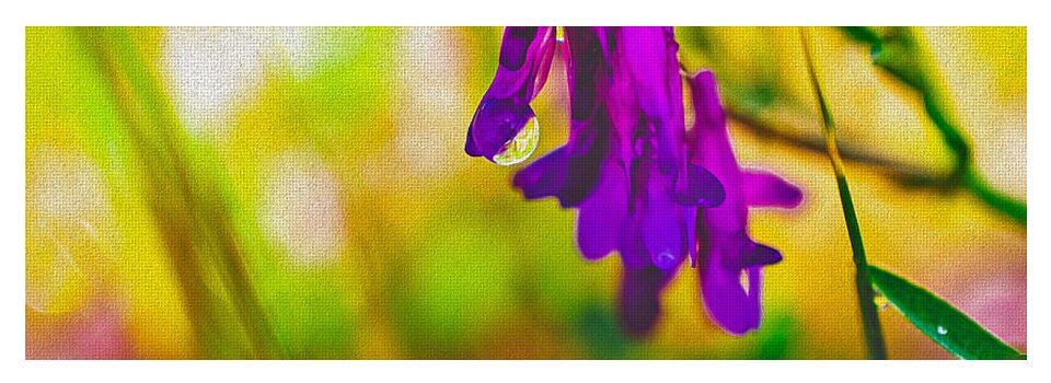 Purple Flowers with a Water Drop - Yoga Mat