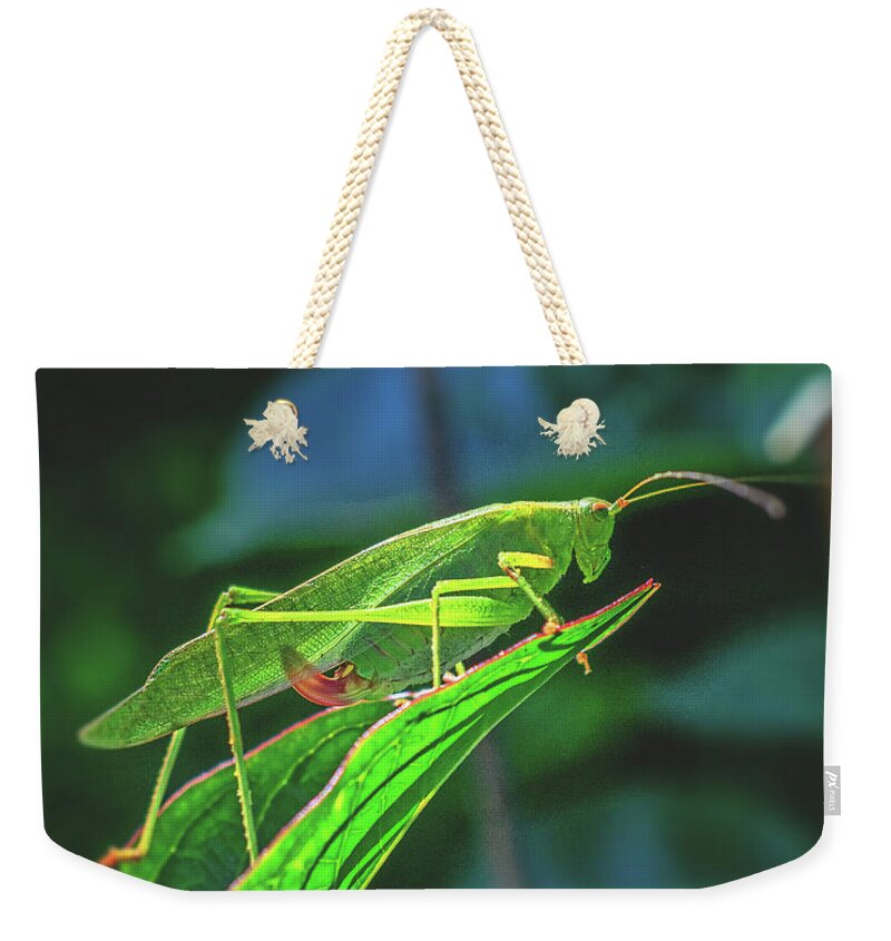 Ready for Lift off Adult Caedicia on a Leaf - Weekender Tote Bag