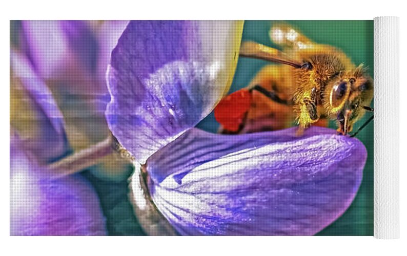 Ready for Lift Off from a Purple Flower - Yoga Mat