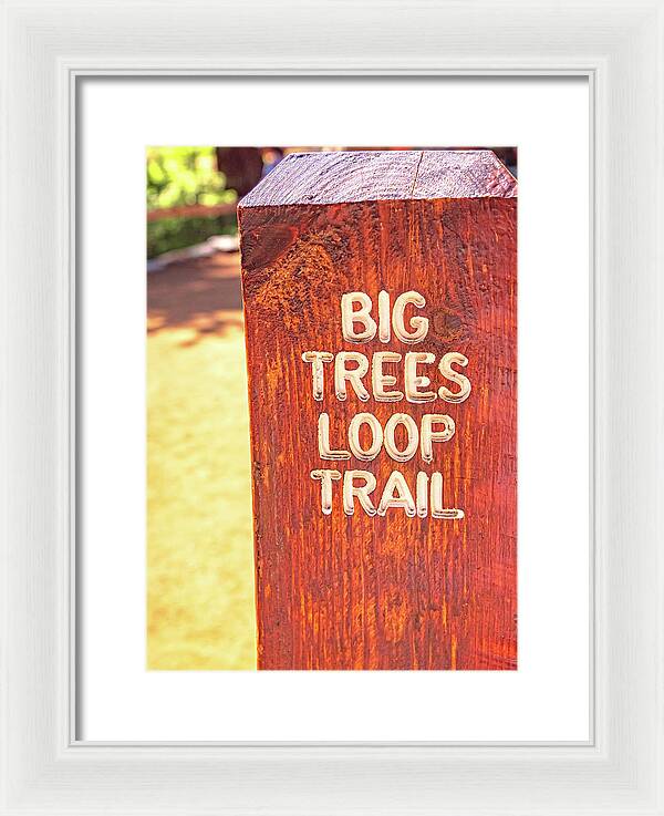 Redwood Sign Post Big Trees Loop Trail - Framed Print