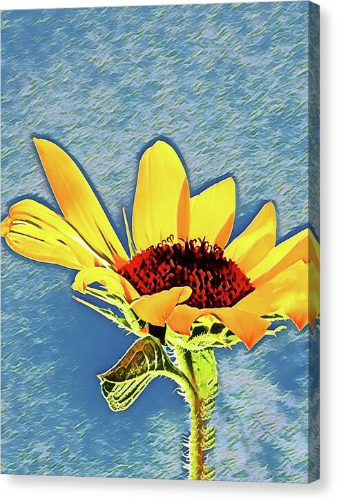 Rising Sun Flower Painting - Canvas Print