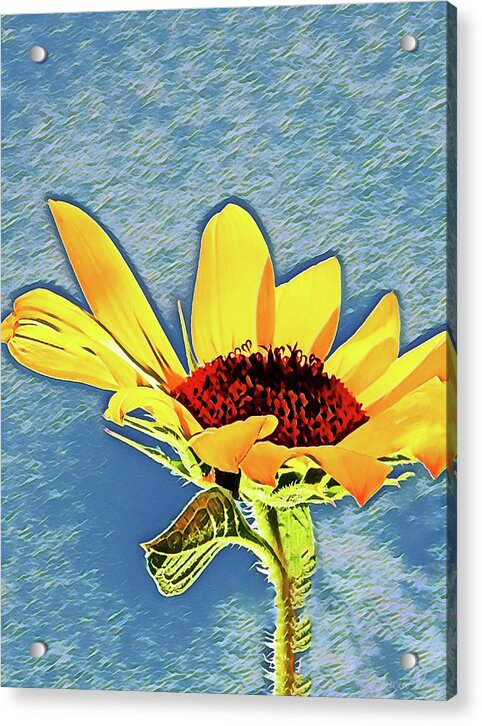 Rising Sun Flower Painting - Acrylic Print
