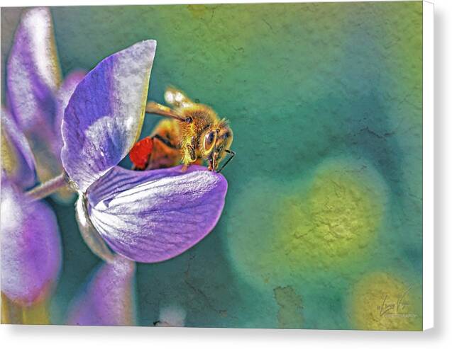 Rough Art Wall Layer of a Bee on a Flower - Canvas Print