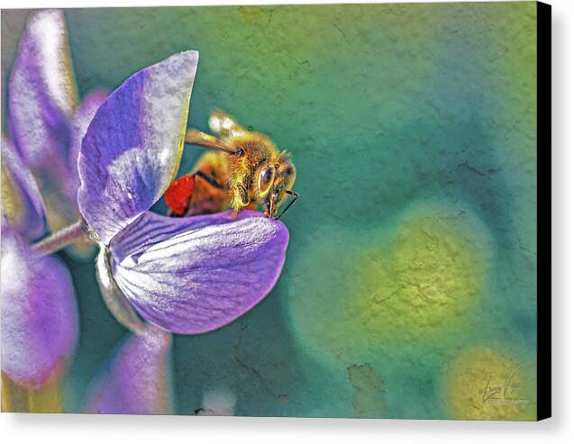 Rough Art Wall Layer of a Bee on a Flower - Canvas Print