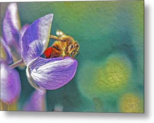 Rough Art Wall Layer of a Bee on a Flower - Metal Print