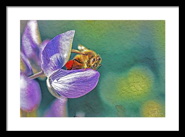 Rough Art Wall Layer of a Bee on a Flower - Framed Print