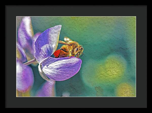 Rough Art Wall Layer of a Bee on a Flower - Framed Print