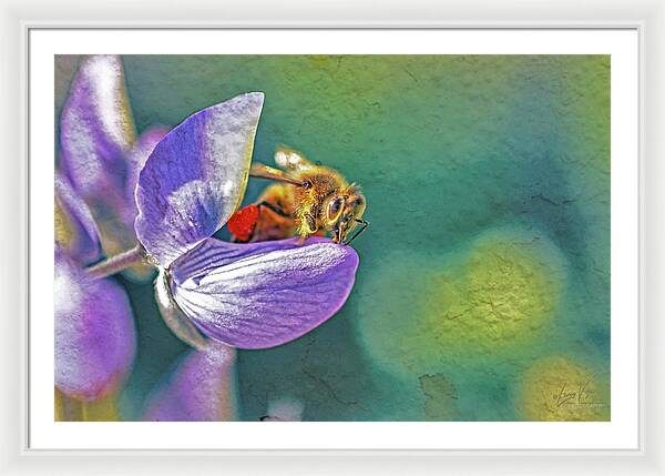Rough Art Wall Layer of a Bee on a Flower - Framed Print