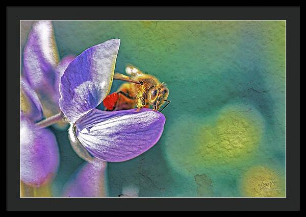 Rough Art Wall Layer of a Bee on a Flower - Framed Print
