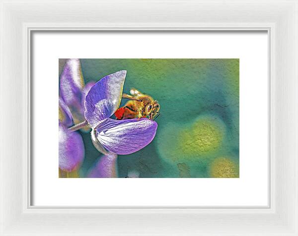 Rough Art Wall Layer of a Bee on a Flower - Framed Print