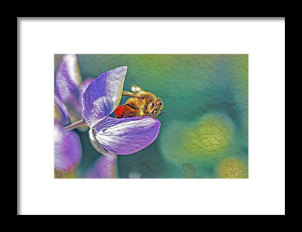 Rough Art Wall Layer of a Bee on a Flower - Framed Print