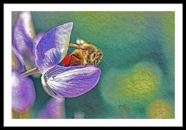 Rough Art Wall Layer of a Bee on a Flower - Framed Print