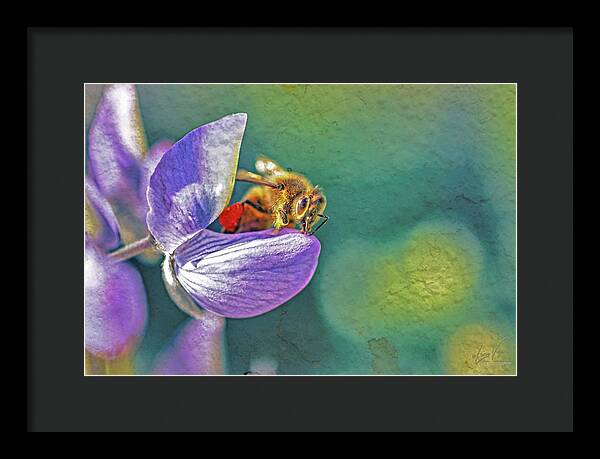 Rough Art Wall Layer of a Bee on a Flower - Framed Print
