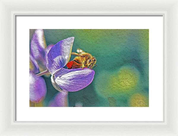 Rough Art Wall Layer of a Bee on a Flower - Framed Print