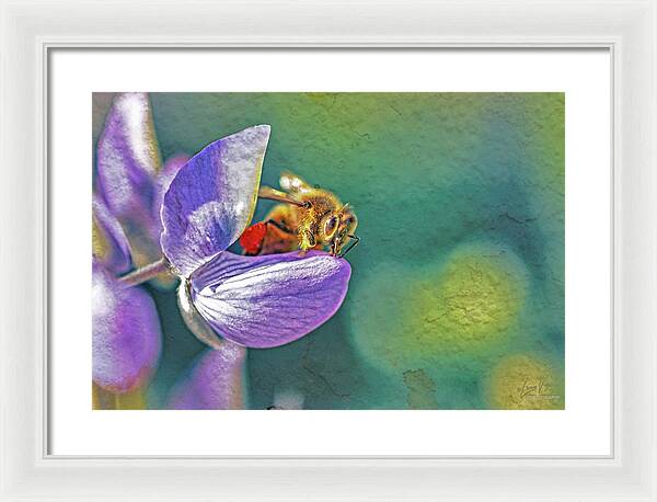 Rough Art Wall Layer of a Bee on a Flower - Framed Print