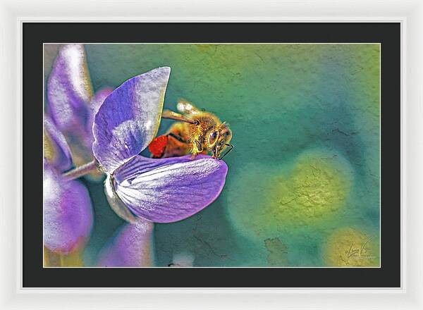 Rough Art Wall Layer of a Bee on a Flower - Framed Print