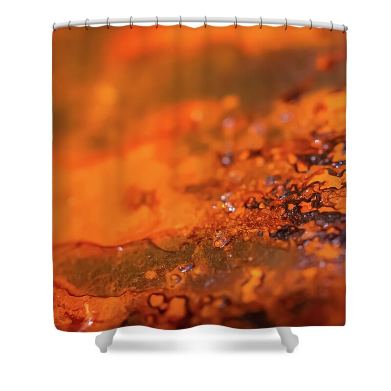 Rusted Close Up Art - Shower Curtain