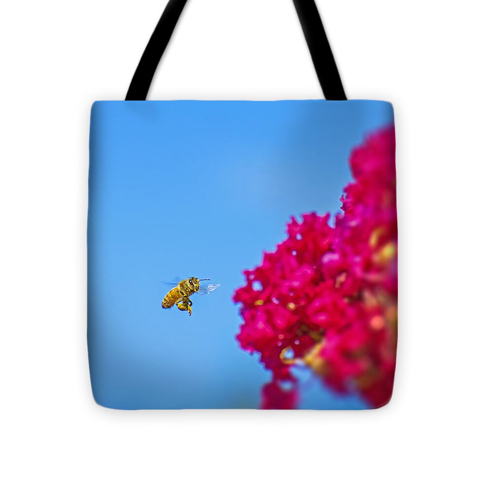 Say Hello to Henry the Bee - Tote Bag