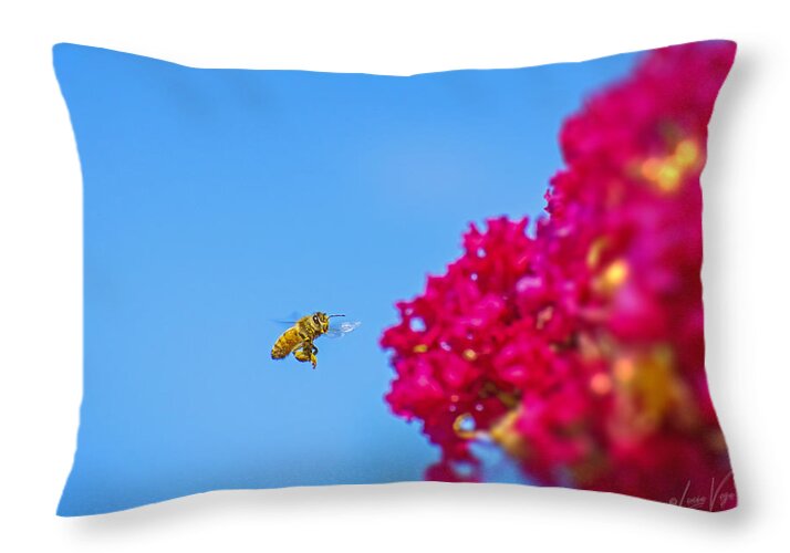 Say Hello to Henry the Bee - Throw Pillow