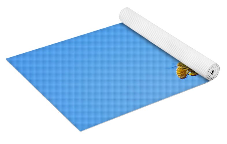 Say Hello to Henry the Bee - Yoga Mat