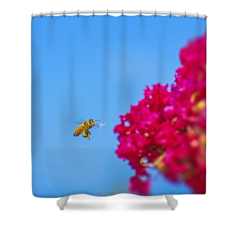 Say Hello to Henry the Bee - Shower Curtain