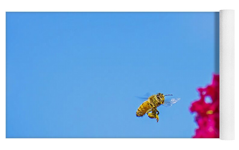 Say Hello to Henry the Bee - Yoga Mat