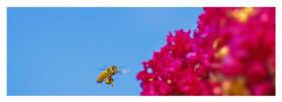 Say Hello to Henry the Bee - Yoga Mat