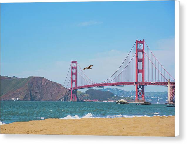 Seagull flying over Golden Gate Bridge - Canvas Print
