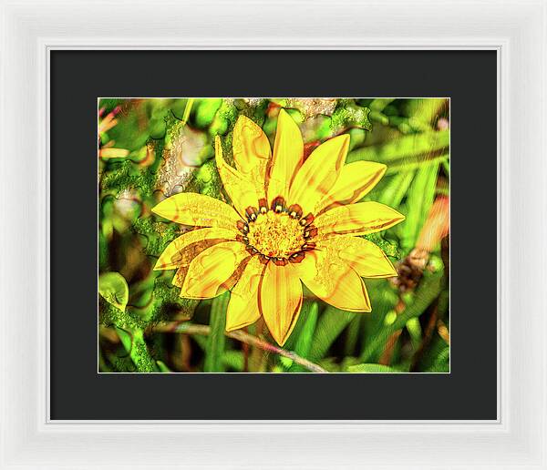 Single Yellow Flower with Waterdrops Overlay - Framed Print