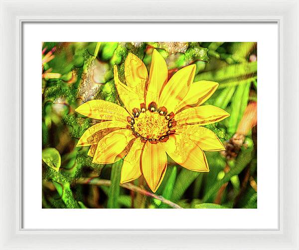 Single Yellow Flower with Waterdrops Overlay - Framed Print