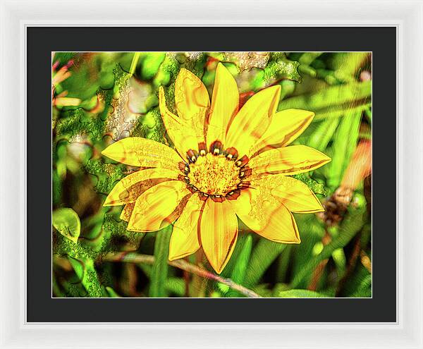 Single Yellow Flower with Waterdrops Overlay - Framed Print