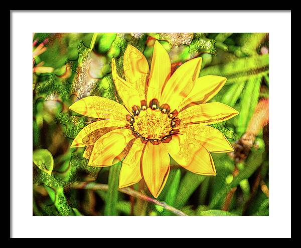 Single Yellow Flower with Waterdrops Overlay - Framed Print