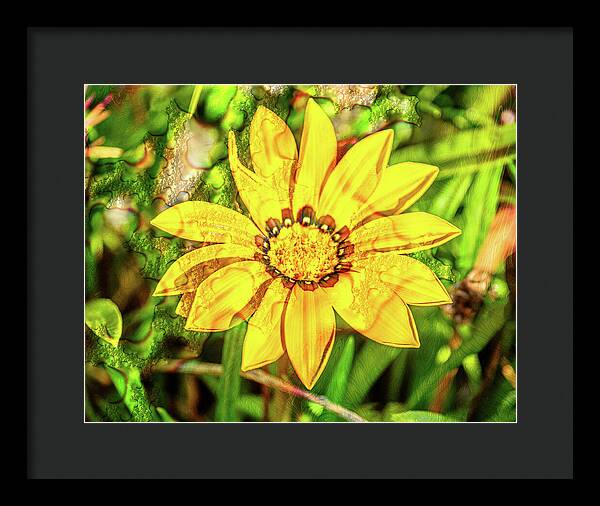 Single Yellow Flower with Waterdrops Overlay - Framed Print