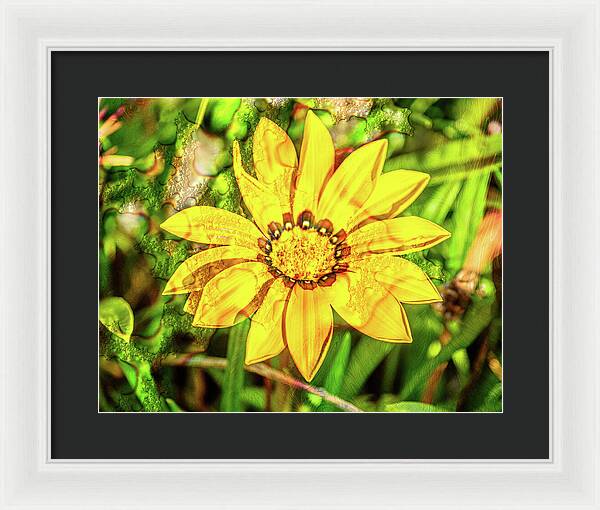 Single Yellow Flower with Waterdrops Overlay - Framed Print