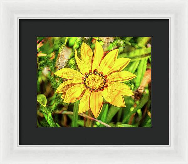 Single Yellow Flower with Waterdrops Overlay - Framed Print