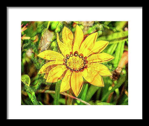 Single Yellow Flower with Waterdrops Overlay - Framed Print