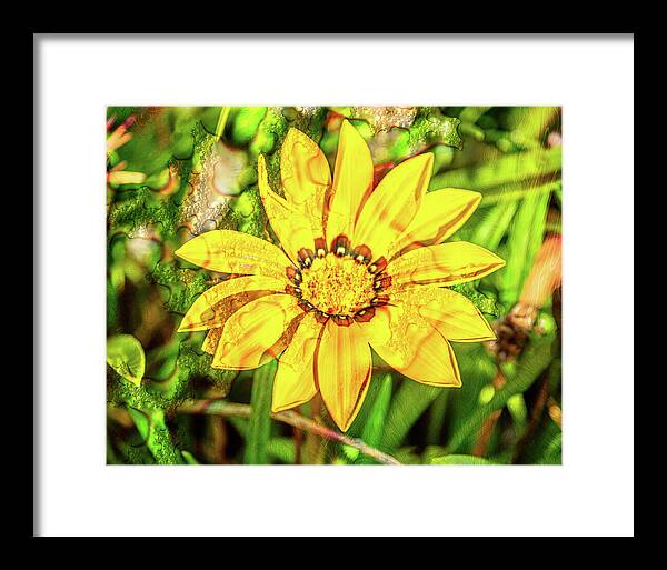 Single Yellow Flower with Waterdrops Overlay - Framed Print
