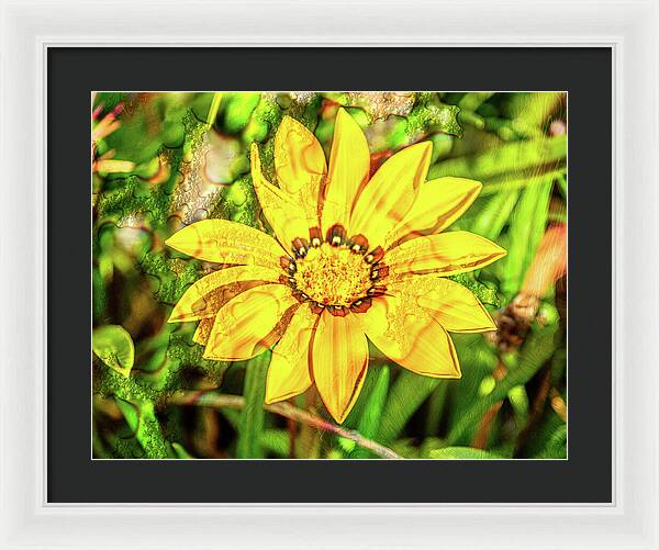 Single Yellow Flower with Waterdrops Overlay - Framed Print