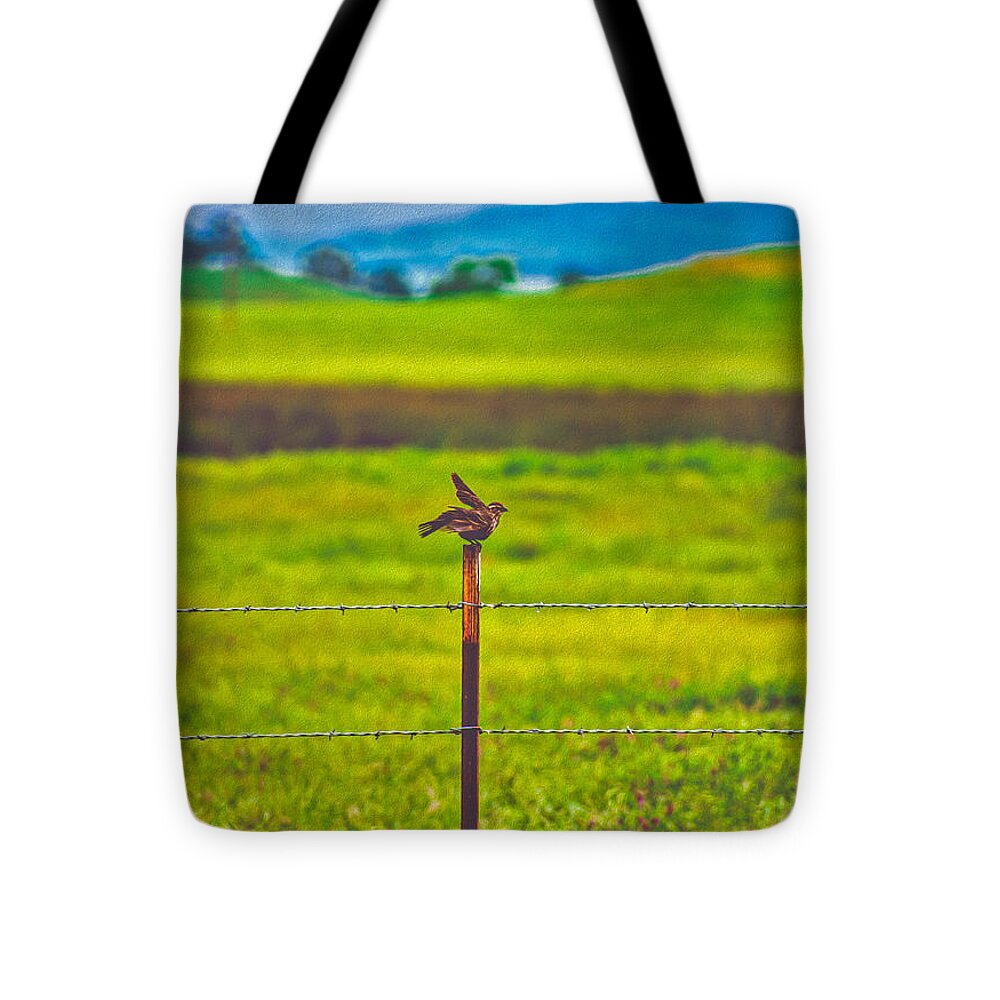 Small Bird Ready for take off Landscape - Tote Bag