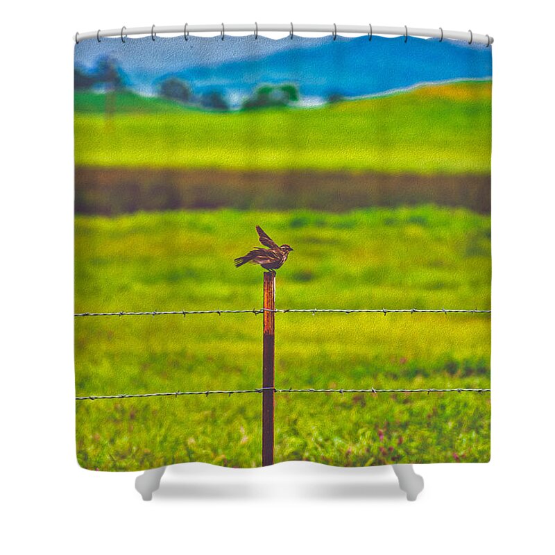 Small Bird Ready for take off Landscape - Shower Curtain