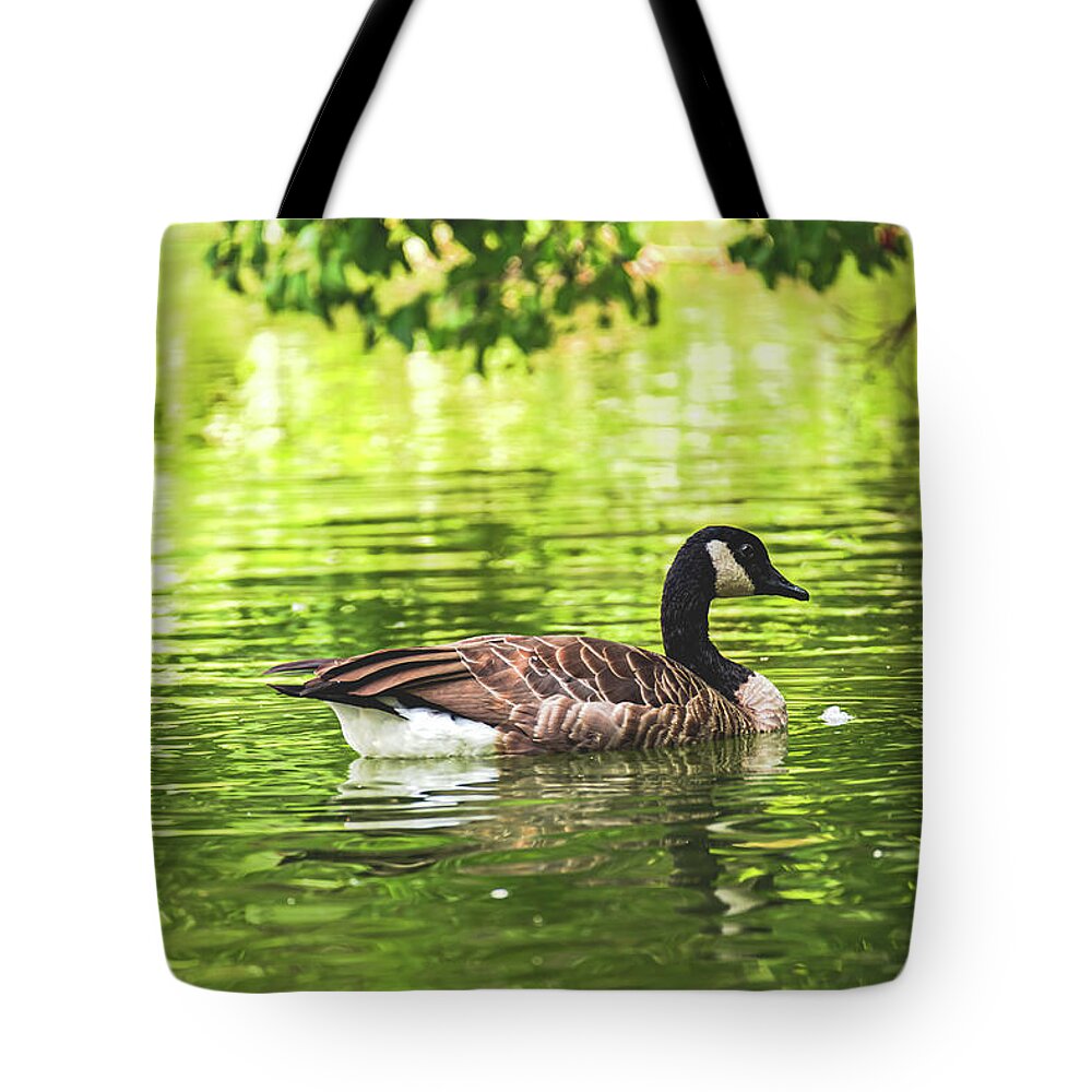 Solitary Goose on Tranquil Pond - Tote Bag