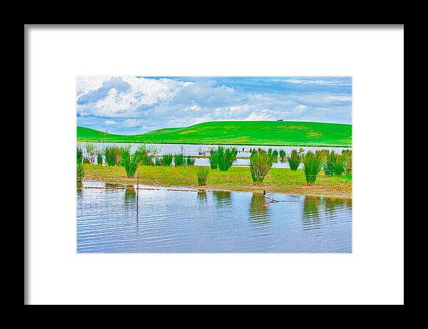 Stanislaus Reservoir Landscape - Framed Print